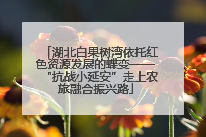 湖北白果树湾依托红色资源发展的蝶变——“抗战小延安”走上农旅融合振兴路